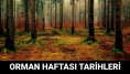 Orman Haftası, her yıl 21-27 Mart tarihleri arasında kutlanmaktadır. Orman Haftası'nı kutlarken kullanabileceğiniz bazı mesajlar ve sözler:- Doğayı korumak, geleceğimizi korumaktır. Orman Haftası kutlu olsun!- Yeşilin gücüyle doğayı korumaya devam edelim. Orman Haftası kutlu olsun!- Bir ağaç dikmek, geleceğe umut ekmektir. Orman Haftası'nı kutluyor, ağaç dikmeye teşvik ediyoruz.- Ormanlar yoksa, yaşam da yok demektir. Orman Haftası kutlu olsun!- Her ağaç, bir nefes demektir. Ormanlarımızı koruyalım, yaşamı sürdürelim. Orman Haftası'nı kutluyoruz.- Ormanlarımızın kıymetini bilmeli, doğayı korumak için elimizden geleni yapmalıyız. Orman Haftası'nı en içten dileklerimizle kutlarız.Orman Haftası'na özel mesajlarla doğaya ve ormanlara olan sevgimizi dile getirebilir, çevreye duyarlılığımızı vurgulayabiliriz.