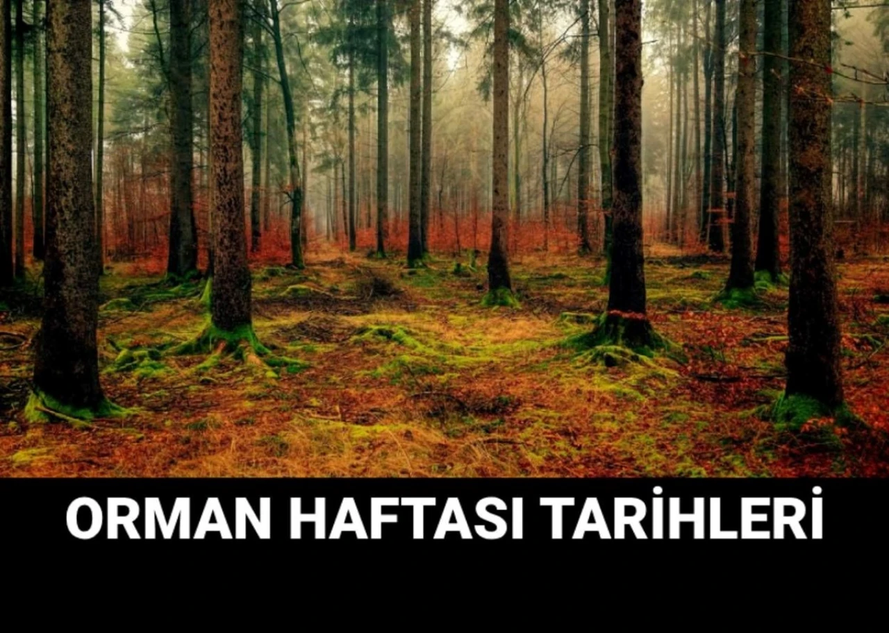 Orman Haftası, her yıl 21-27 Mart tarihleri arasında kutlanmaktadır. Orman Haftası'nı kutlarken kullanabileceğiniz bazı mesajlar ve sözler:- Doğayı korumak, geleceğimizi korumaktır. Orman Haftası kutlu olsun!- Yeşilin gücüyle doğayı korumaya devam edelim. Orman Haftası kutlu olsun!- Bir ağaç dikmek, geleceğe umut ekmektir. Orman Haftası'nı kutluyor, ağaç dikmeye teşvik ediyoruz.- Ormanlar yoksa, yaşam da yok demektir. Orman Haftası kutlu olsun!- Her ağaç, bir nefes demektir. Ormanlarımızı koruyalım, yaşamı sürdürelim. Orman Haftası'nı kutluyoruz.- Ormanlarımızın kıymetini bilmeli, doğayı korumak için elimizden geleni yapmalıyız. Orman Haftası'nı en içten dileklerimizle kutlarız.Orman Haftası'na özel mesajlarla doğaya ve ormanlara olan sevgimizi dile getirebilir, çevreye duyarlılığımızı vurgulayabiliriz.