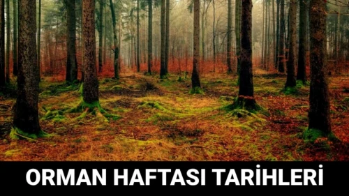Orman Haftası, her yıl 21-27 Mart tarihleri arasında kutlanmaktadır. Orman Haftası'nı kutlarken kullanabileceğiniz bazı mesajlar ve sözler:- Doğayı korumak, geleceğimizi korumaktır. Orman Haftası kutlu olsun!- Yeşilin gücüyle doğayı korumaya devam edelim. Orman Haftası kutlu olsun!- Bir ağaç dikmek, geleceğe umut ekmektir. Orman Haftası'nı kutluyor, ağaç dikmeye teşvik ediyoruz.- Ormanlar yoksa, yaşam da yok demektir. Orman Haftası kutlu olsun!- Her ağaç, bir nefes demektir. Ormanlarımızı koruyalım, yaşamı sürdürelim. Orman Haftası'nı kutluyoruz.- Ormanlarımızın kıymetini bilmeli, doğayı korumak için elimizden geleni yapmalıyız. Orman Haftası'nı en içten dileklerimizle kutlarız.Orman Haftası'na özel mesajlarla doğaya ve ormanlara olan sevgimizi dile getirebilir, çevreye duyarlılığımızı vurgulayabiliriz.